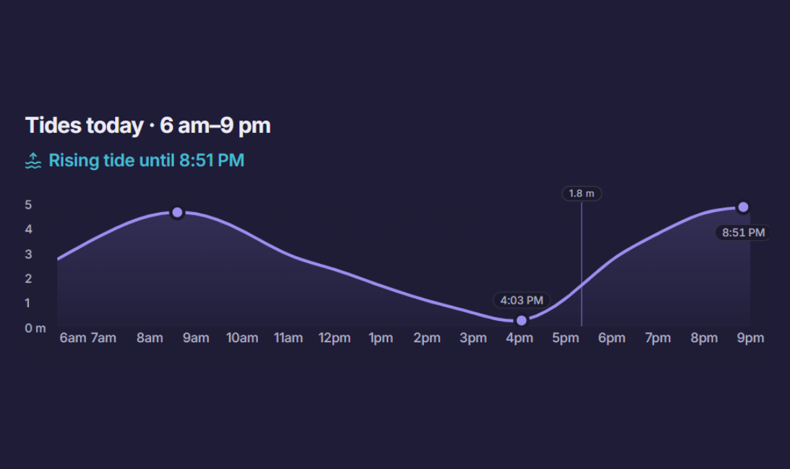 Daily tide chart showing low tide at 4:03 pm and a rising tide until 8:51 pm.
